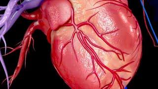TomorrowsDiscoveries Heart Attack in a Dish  Dr Brian ORourke